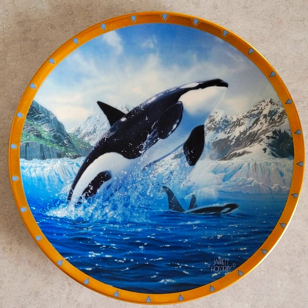 Orca by Jarrett Holderby from the Whale Conservative Plate Collection
